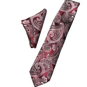 Hisdern Ombre Burgundy Pink Purple Paisley Tie